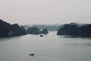 Best Restaurants in Ha Long Bay: A Seafood Lover’s Guide
