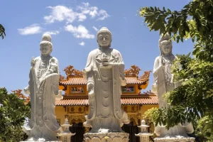 Mui Ne’s Desert Dunes and Beaches: An Adventure Guide to Vietnam’s Coastal Gem