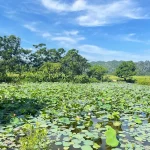Phong Nha’s Hidden Wonders: Exploring Vietnam’s Cave Kingdom Beyond Son Doong