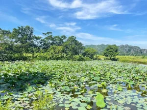 Phong Nha’s Hidden Wonders: Exploring Vietnam’s Cave Kingdom Beyond Son Doong