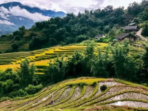 Sapa Day Trips: The Best Treks, Rice Terraces &amp; Fansipan Adventures