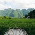 Savoring Vietnam: Your April 2026 Culinary Journey Guide
