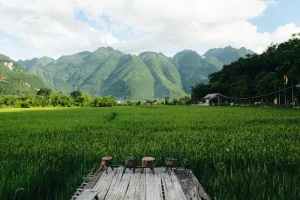 Savoring Vietnam: Your April 2026 Culinary Journey Guide