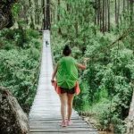 The North, Central, &amp; South: Mapping Your Vietnam Itinerary