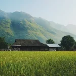 Bac Ha Market: A Vibrant Cultural Experience in Remote Northern Vietnam