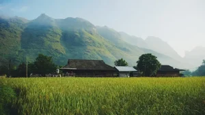 Bac Ha Market: A Vibrant Cultural Experience in Remote Northern Vietnam