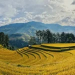 Cat Ba Island Itinerary: Exploring Lan Ha Bay and Beyond