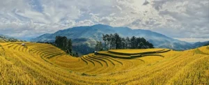 Cat Ba Island Itinerary: Exploring Lan Ha Bay and Beyond