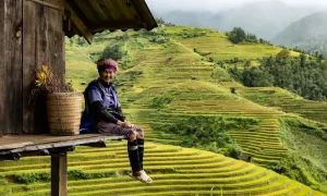 Ha Giang Loop: Conquering Vietnam’s Most Epic Motorbike Adventure