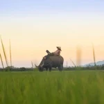 Ninh Binh Travel Guide: Discovering Vietnam’s ‘Halong Bay on Land’