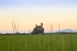 Ninh Binh Travel Guide: Discovering Vietnam’s ‘Halong Bay on Land’