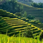 Sapa Travel Essentials: Your Ultimate Guide for an Unforgettable Trip