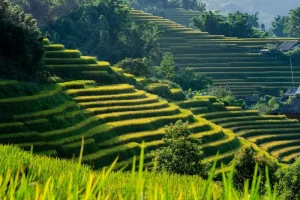 Sapa Travel Essentials: Your Ultimate Guide for an Unforgettable Trip