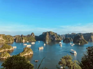 Tam Coc vs. Trang An: Which Ninh Binh Boat Ride is Right for You?