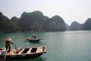 Vietnam Digital Nomad Visa: What Are Your Long-Stay Options?