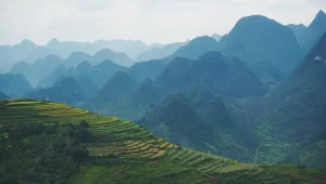 Why Visit Quy Nhon? Discover Vietnam’s Coastal Hidden Gem