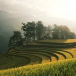 Hanoi’s Top Coworking Spaces: Where to Work Remotely in the Capital