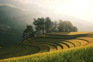 Hanoi’s Top Coworking Spaces: Where to Work Remotely in the Capital