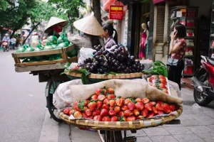 Top 7 Cities in Vietnam for Digital Nomads: Which One is For You?