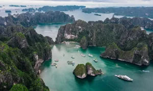 Building a Community: Meeting Other Digital Nomads in Vietnam
