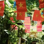 Beginner’s Guide: Making Sense of Vietnamese Pronunciation