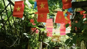 Beginner’s Guide: Making Sense of Vietnamese Pronunciation