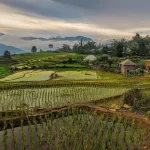 Phong Nha Caves Guide: Exploring Vietnam’s Underground Wonders