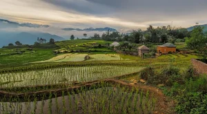 Phong Nha Caves Guide: Exploring Vietnam’s Underground Wonders