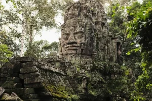 Phong Nha National Park: Beyond the Caves – Trekking, Wildlife &amp; Adventure
