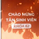 Setting Up Your eSIM for Vietnam: iPhone &amp; Android Walkthrough