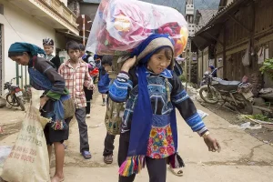 Best Areas to Stay in Hoi An for First-Time Visitors