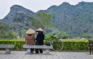 Google Translate for Vietnam: How to Use It Effectively