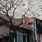 The Ultimate Hanoi Street Food Tour: What to Eat &amp; Where to Find It