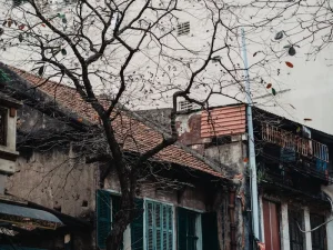 The Ultimate Hanoi Street Food Tour: What to Eat &amp; Where to Find It