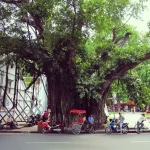 Your Long-Term Stay Vietnam: Finding the Perfect Home as a Foreigner