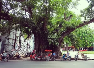 Your Long-Term Stay Vietnam: Finding the Perfect Home as a Foreigner
