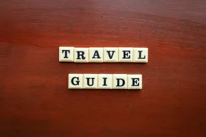 Don’t Get Lost in Translation: Top Apps for Your Vietnam Trip