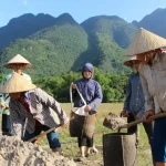 How to Get Around Da Nang: Your Complete Local Transport Guide