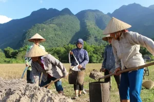How to Get Around Da Nang: Your Complete Local Transport Guide