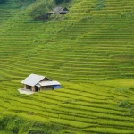 What to Do in Sapa for a Day? Top Excursions &amp; Activities