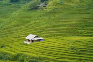 What to Do in Sapa for a Day? Top Excursions &amp; Activities